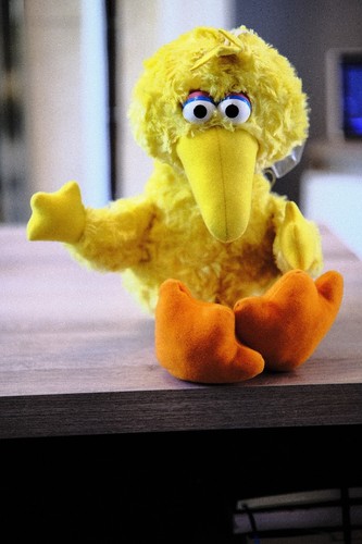 Sesame street big - street,